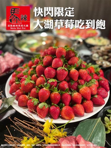 馬辣「草莓吃到飽」快閃7天！身分證「中2碼」吃爆大蛤蜊 美食旅遊 生活 Nownews今日新聞