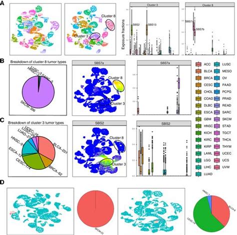 The Mutational Signature Comprehensive Analysis Toolkit Musicatk For