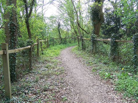 bridle path wikipedia