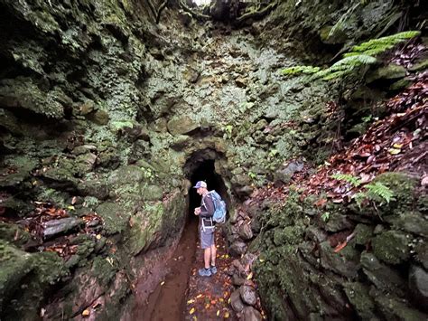 Madeira Local Guide - All You Need to Know BEFORE You Go (2025)