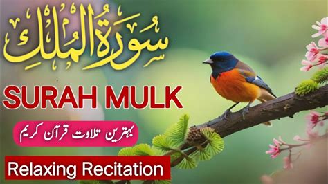 Surah Mulk Al Mulk Beautiful Quran Quran With Relaxing