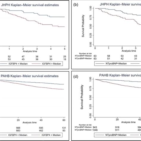 Kaplanmeier Survival Model Adjusted For Age Sex And Nyha Functional