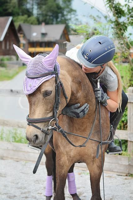 Pferd Mädchen Reiten Kostenloses Foto auf Pixabay Pixabay