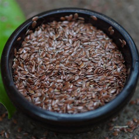 Linseed | Spiceorg India