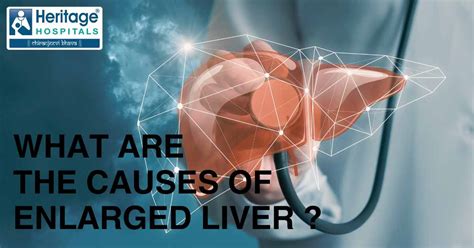 What Are The Causes Of Enlarged Liver