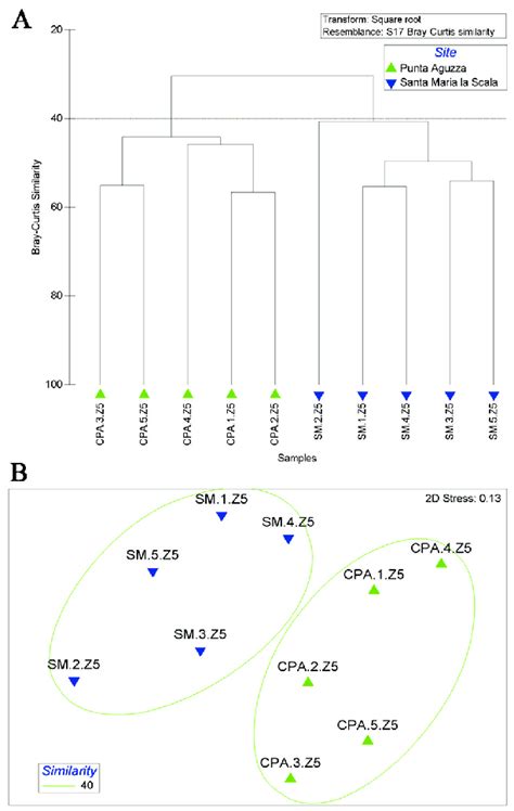 Dendrogram A And Mds Ordination B Obtained From A Data Matrix Of