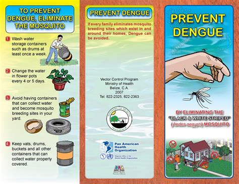 Dengue: Symptoms, Risks and Prevention - Belize News and Opinion on www ...