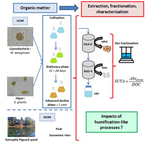 Ijms Free Full Text Assessing Transformations Of Algal Organic