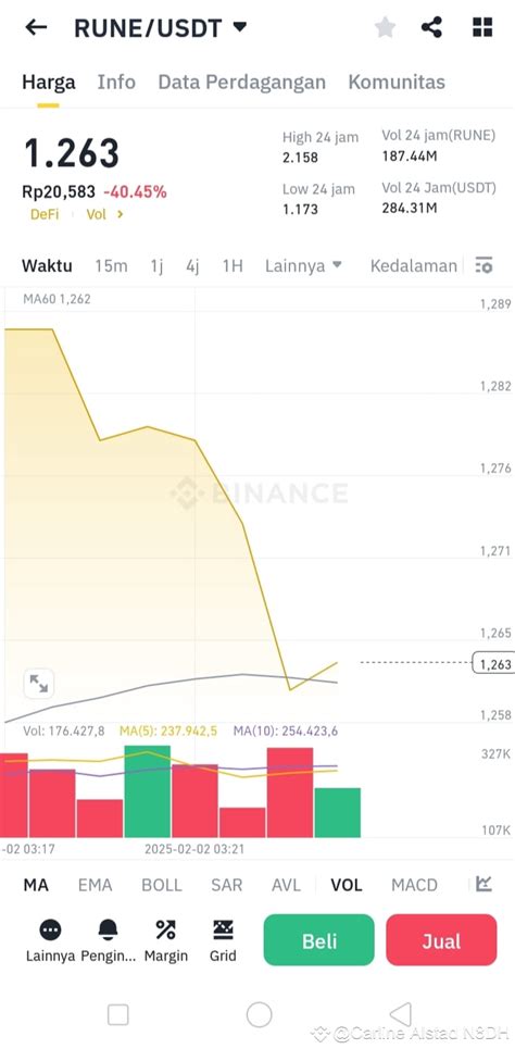 dont   carline alstad ndh  binance square