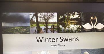 GCSE AQA Anthology Poem 'Winter Swans' analysis | Teaching Resources