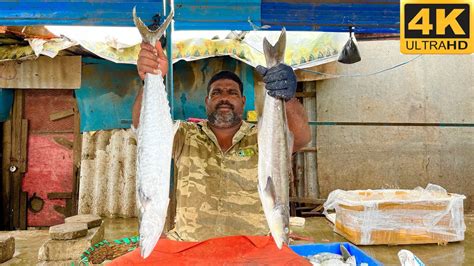 Vanjaram Fish Kadora Meen Cutting Video Fishcuttingrs Fishcuttingrs