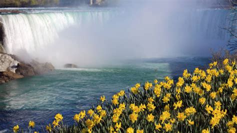 Niagara Falls Weather - MapQuest Travel