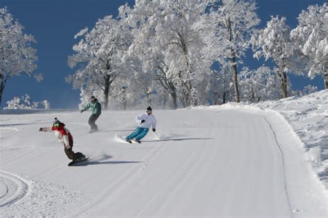 Nozawa Onsen • Ski Holiday • Reviews • Skiing