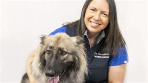 Our Vet Care Team Wheat Ridge Animal Hospital