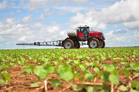 Agriculture Farming In Australia How To Start Sustainable Practices