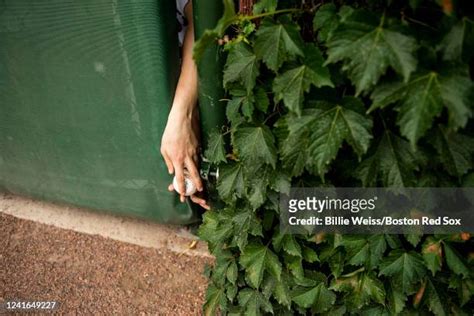 Ivy Ball Photos Et Images De Collection Getty Images