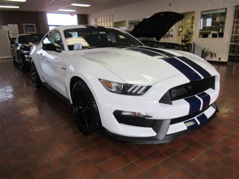 Shelby Gt350 Ford Mustang White Wblue Stripe Track Package