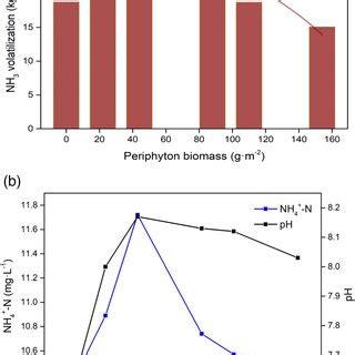 A Quadratic Relationship Between Periphyton Biomass And NH3