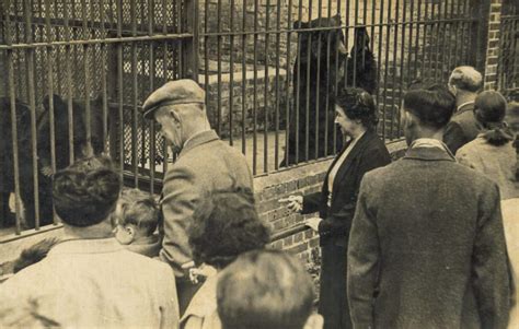 Your Zoo One Of The Earliest Living Memories Of Paignton Zoo