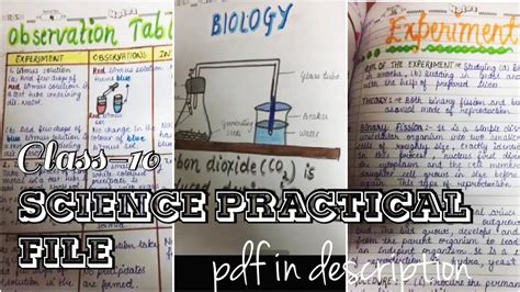 Science Practical File Class Sample Copy Experiments