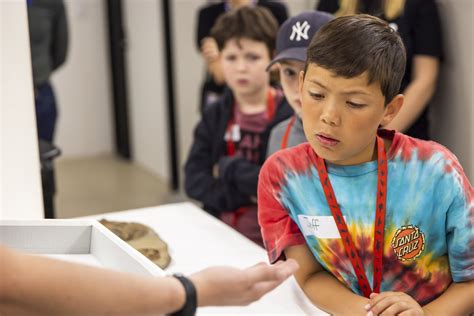 Scientist For a Day: Archaeologist - The Australian Museum