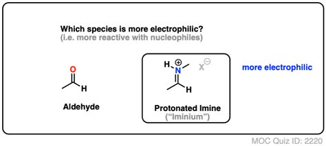 Imines Properties Formation Reactions And Mechanisms Master