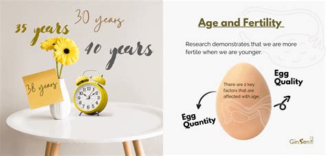 Top 5 Tips On How To Improve Fertility Naturally Over 40 Ginsen