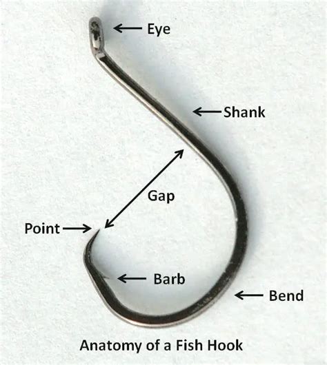 7 Types Of Fishing Hooks When To Use Them All Fishing Gear