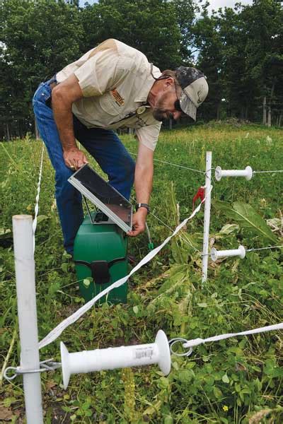 Dr Deer How To Protect Your Food Plot Using Electric Fence North American Whitetail