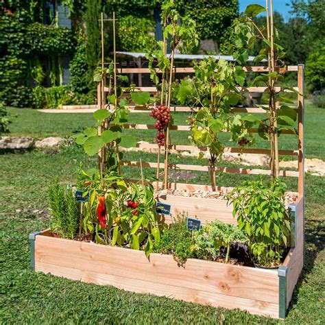 Carré potager en bois 2 étages treillis vente au meilleur prix