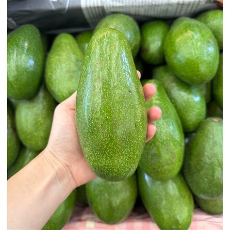 พร้อมส่ง‼️ 1kg อโวคาโด้ แก่จัด Avocado🥑 แฮส Hass Ta21 034 แฮส บูท7 บัคคาเนีย Shopee Thailand