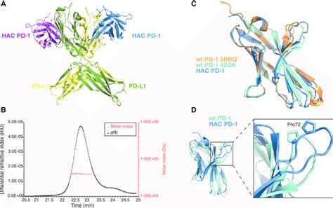 Structure Of HAC PD 1 And PD L1 A The Overall Structure Of HAC PD 1