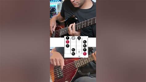 All 5 String Minor Blues Scale Shapes [ Bass Solo Example] Youtube