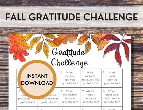 30 Day Gratitude Challenge Printable Monthly Challenge Etsy