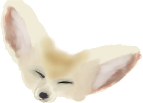 Foto Fennec Fox Png Png Arts