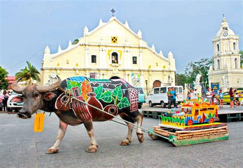 Carabao Festival