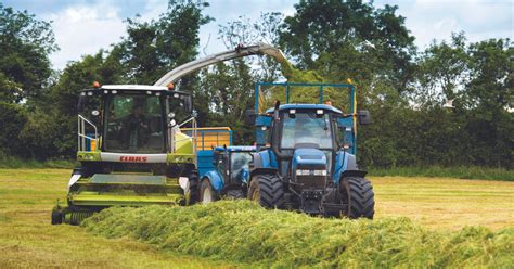 News | Making better quality grass silage | Mole Online