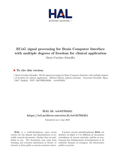 (PDF) ECoG signal processing for Brain Computer Interface with multiple ...