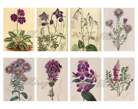 PURPLE FLOWERS Set 1 Digital Collage Sheet 40 ATC Cards Etsy