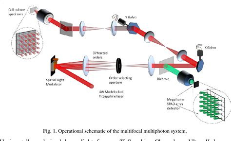 Figure From A High Speed Multifocal Multiphoton Fluorescence Lifetime