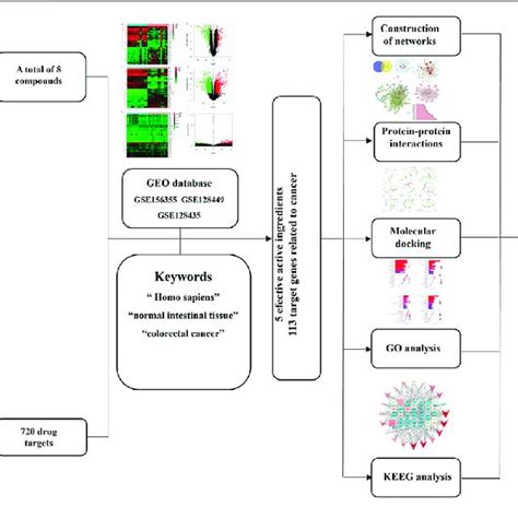 Network Pharmacological Molecular Docking And Experience