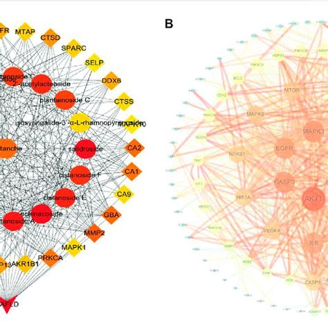 A Top 50 Nodes Of The Compound Drug Target Disease Network B PPI