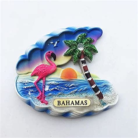 Amazon Turtle Bahamas D Fridge Magnet Crafts Souvenir Resin