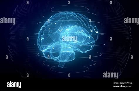 Futuristic Blue Digital Brain Seamless Loop Neurons Firing In Mri Scan