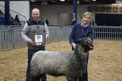 2023 Junior Breeding Sheep Showmanship Flickr