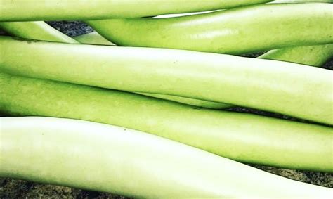 Cucuzza Is A Southern Italian Staple Discover What This Sweet Squash