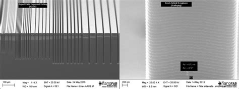 Silicon Etch Processing Nanofab