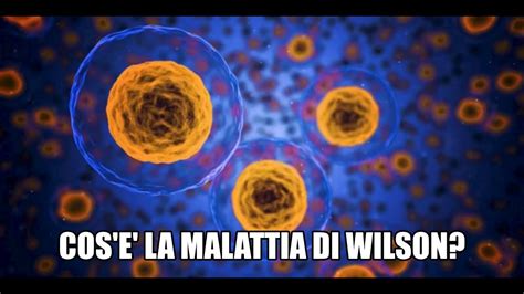 Cos è la Malattia di Wilson YouTube