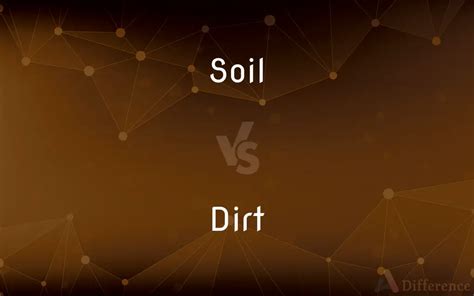 Soil Vs Dirt Whats The Difference