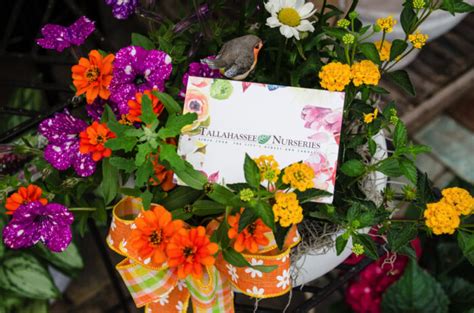 Tallahassee's Garden Gift Guide - Tallahassee Nurseries | Tallahassee's Premier Garden Center ...